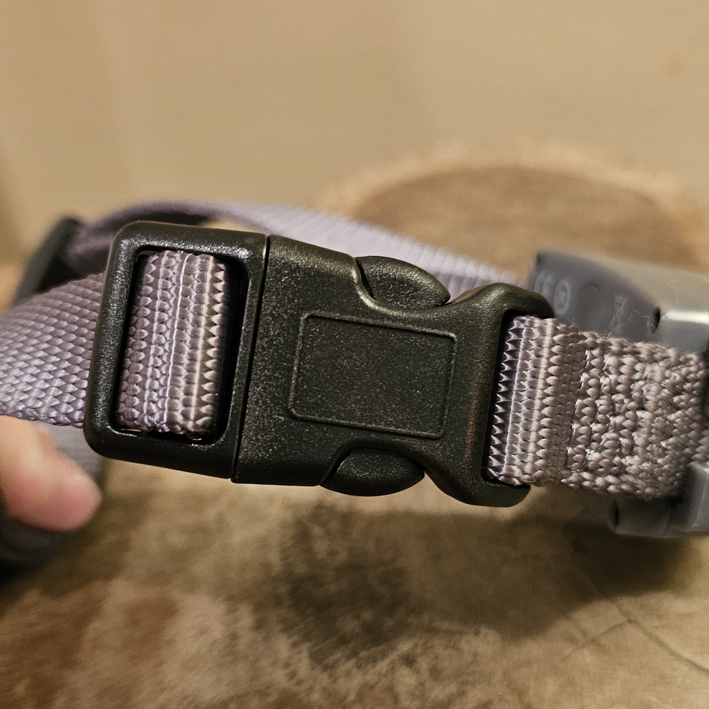 Premier Rechargeable Bark Collar - Gray - Picture 15 of 17